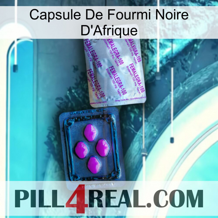 Africa Black Ant Capsule 37